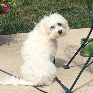 Meet your Posher, Kristen